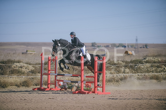 JJS_0847