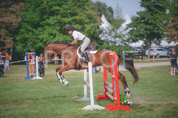 000_8113