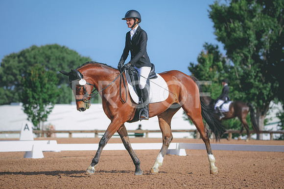 RWP_3868