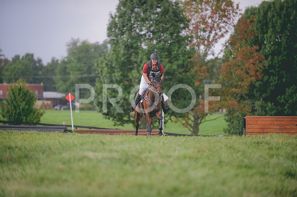000_1954