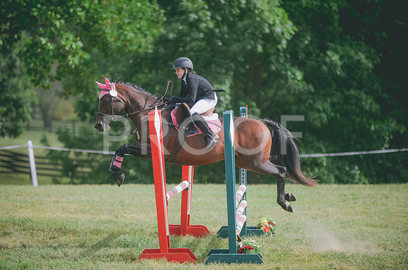 000_8401