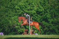 RWP_2834