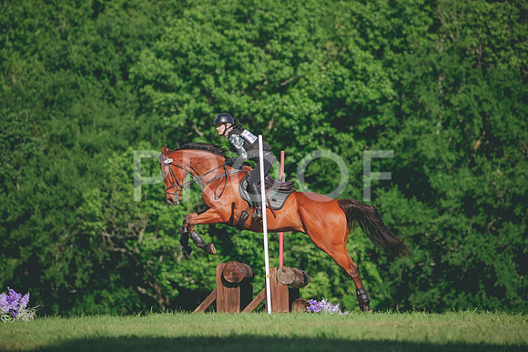 RWP_2834