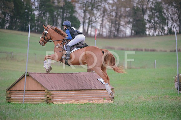 JJS_0226A