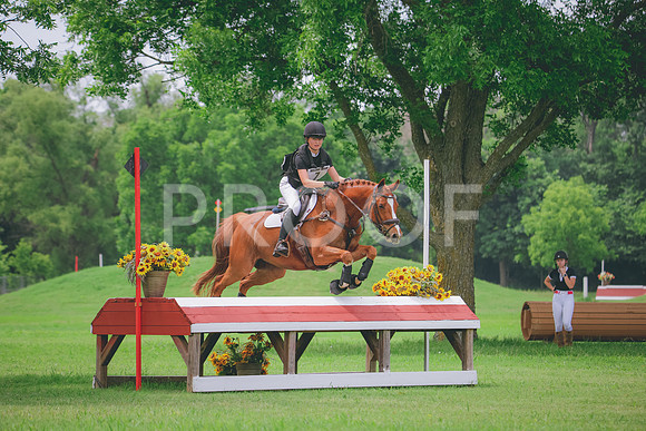 RWP_0408