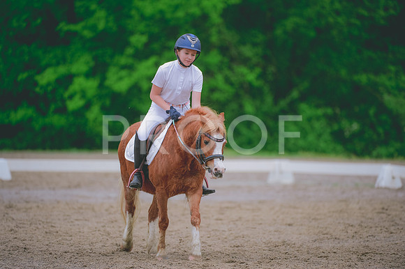 JJS_0782