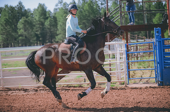 JJS_4523