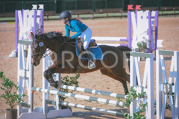 JJS_8978