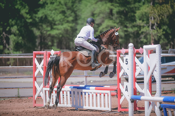 JJS_0601A