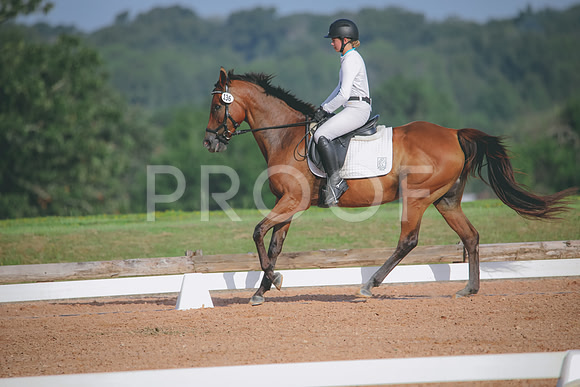 RWP_4454