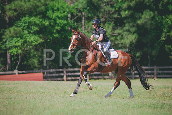 RWP_1253
