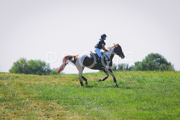 281A1606