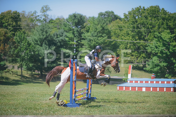 000_0103