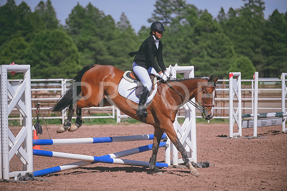 DSC_2829