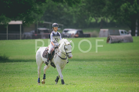 RWP_4161