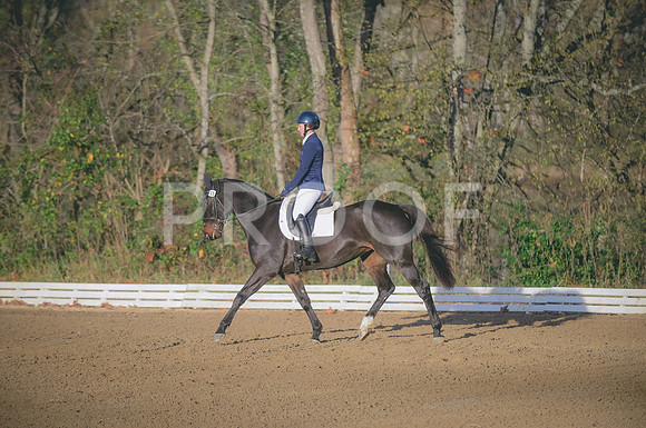 JJS_3182