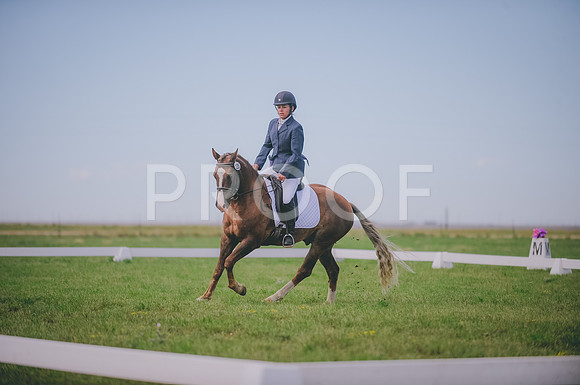 JJS_1357