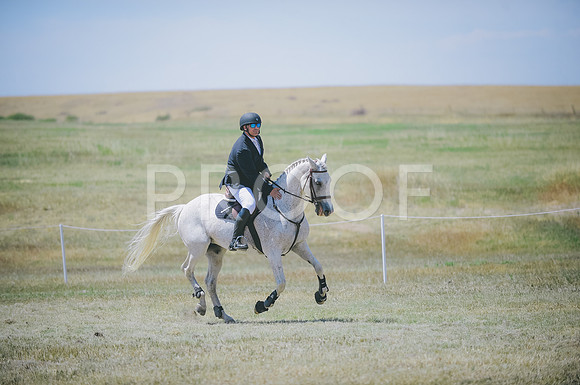JJS_8382