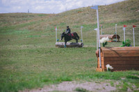 DSC_1985