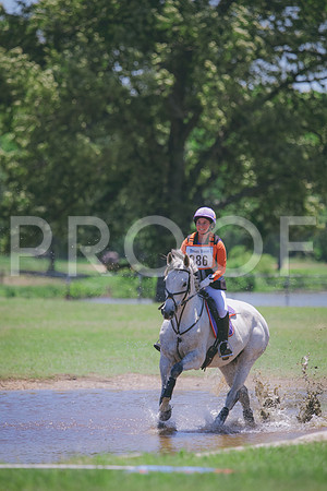 RWP_0593