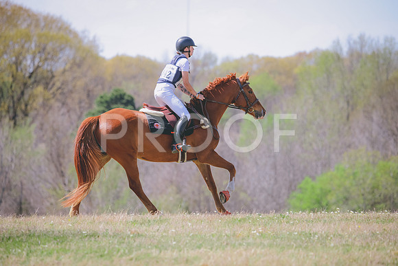 RWP_1271