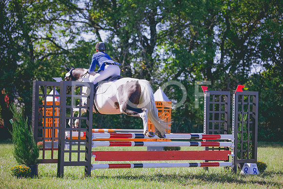 HLJ_2376