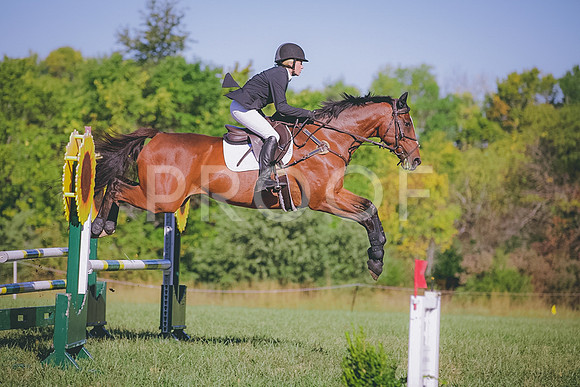 HLJ_2143 Large