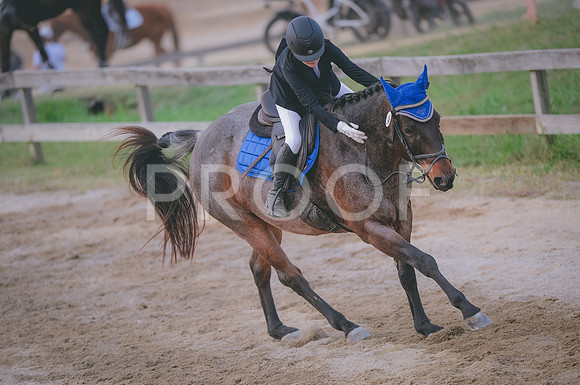 JJS_3019