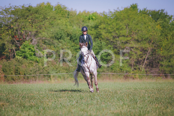 HLJ_0119