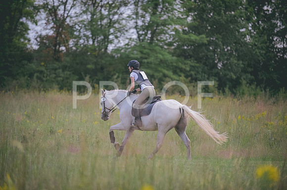 000_7363