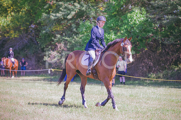 HLJ_0917