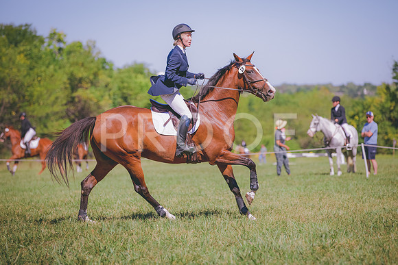 HLJ_0959