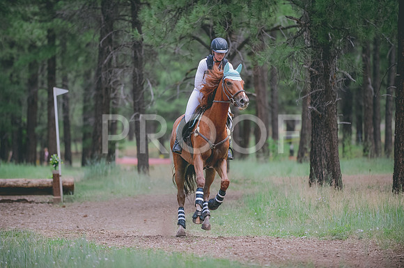 JJS_3032