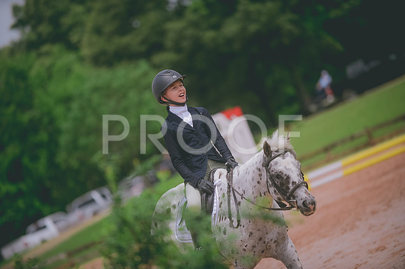 000_3935 copy