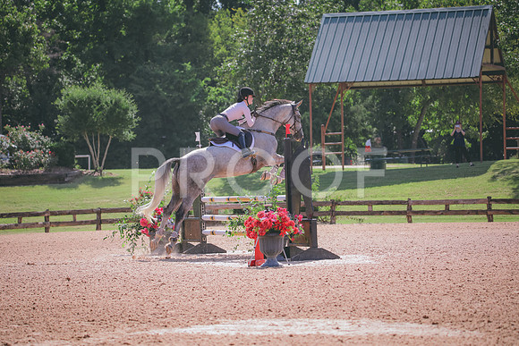 RWP_4947