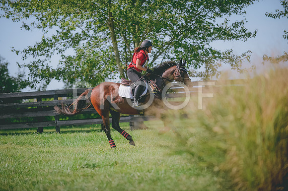 JJS_4384