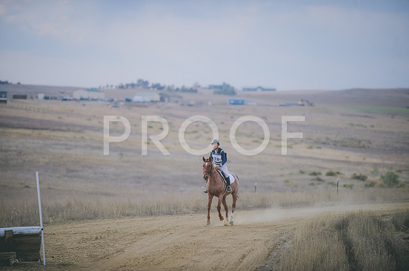 JJS_2954