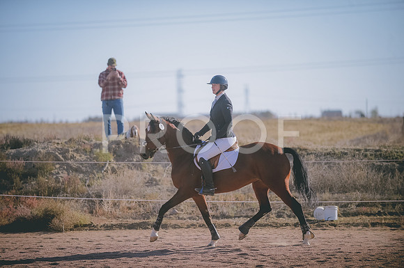 JJS_0065