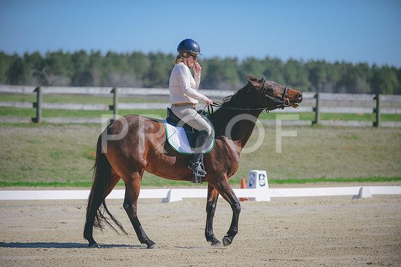 JJS_7868