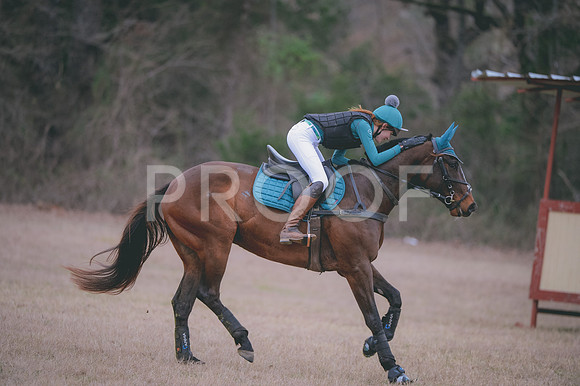 JJS_4186