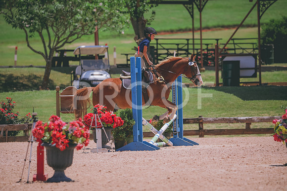 RWP_5908
