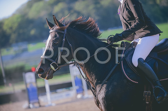 JJS_0417
