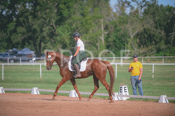 000_8233