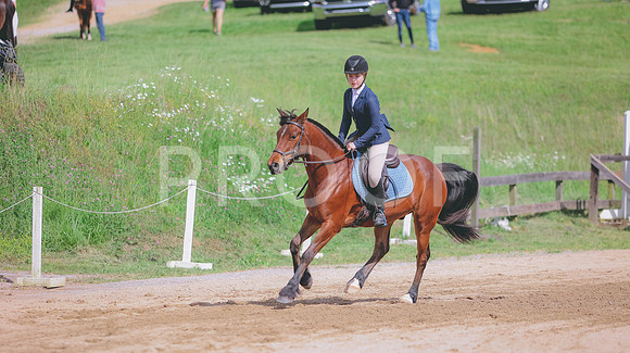 0N0A1578