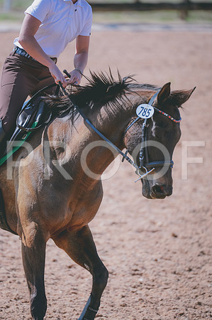 JJS_7175