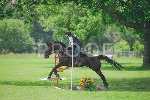 RWP_3042