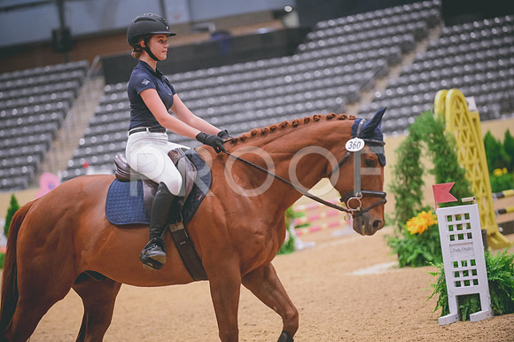 DSC_9916