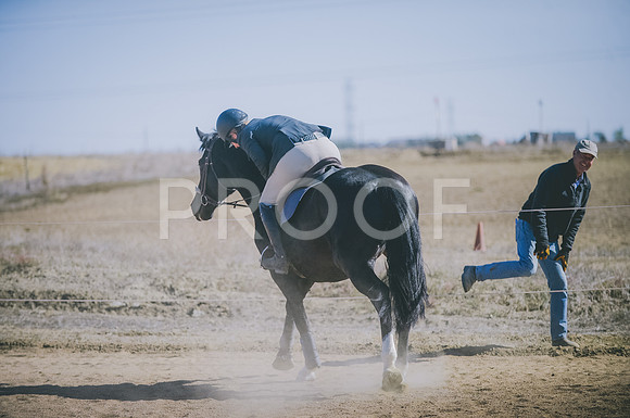 JJS_6309