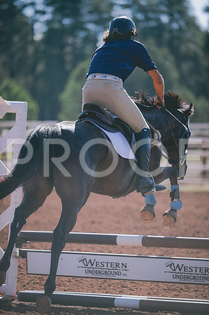 JJS_3645