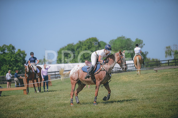 JJS_2018